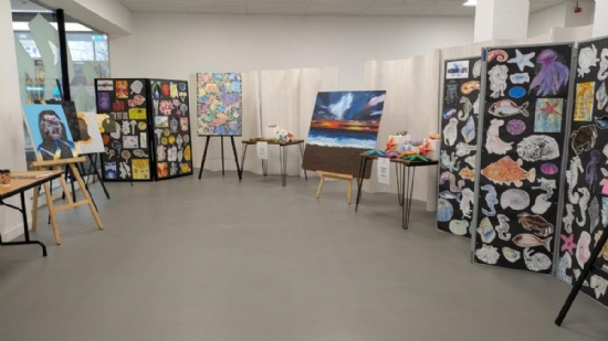 Oak Academy exhibit over 100 art pieces at Dolphin Centre